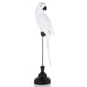 Figurka Papuga