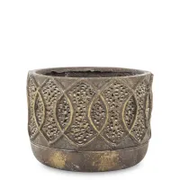 Osłonka- Prom.