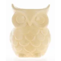 Kominek Zapachowy-Prom.